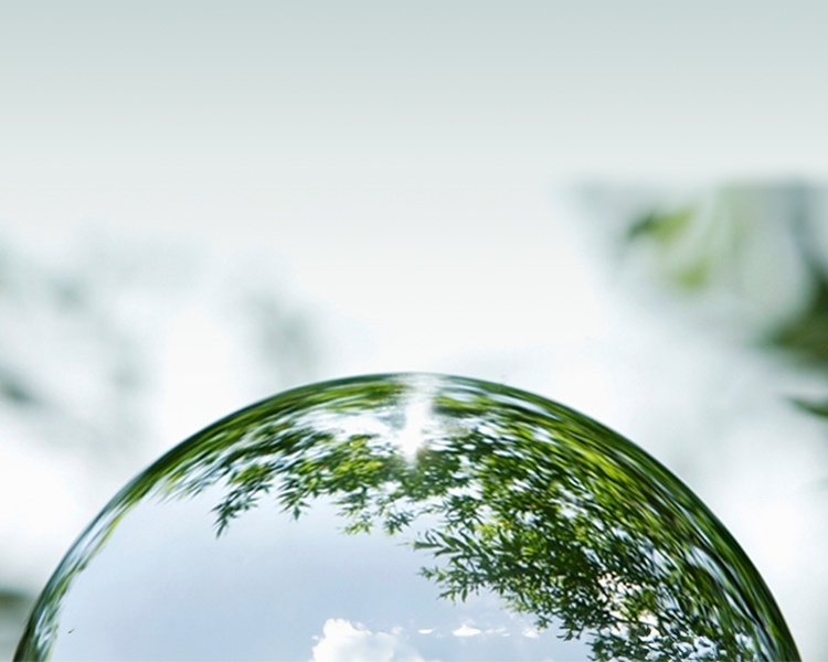 Trees reflected in the hemisphere